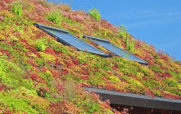 Spridlington living roof systems